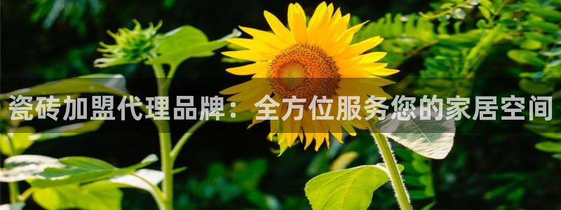 华润娱乐罢92222